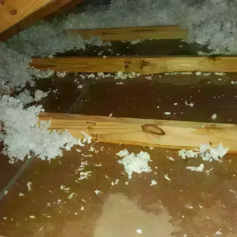 Attic Water Damage in Energy, IL