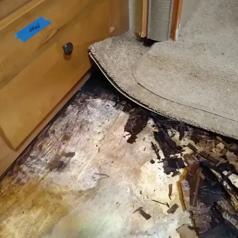 Wood Floor Water Damage in Energy, IL